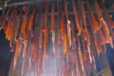 Strips of silver salmon hang in Valerie Davidson's smokehouse on the Kuskokwim River in Bethel, Alaska (Photo by Annie Feidt/Alaska Public Media).