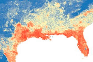 This map shows the predicted distribution of Aedis aegypti, the mosquito that can carry the Zika virus. The redder the area, likelier you are to find A. aegypti there. (Courtesy Kraemer et al., eLife)