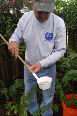 Steve Noe, project manager of Martin County Mosquito Control in Florida, examines water from a bucket at a home he visited. Noe can see the larvae for one of the mosquito species that can spread Zika, Aedes aegypti, swimming in the bucket. (Phil Galewitz/KHN)