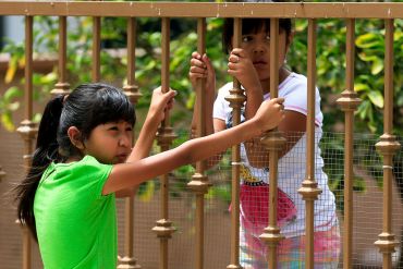 Children watch lead removal