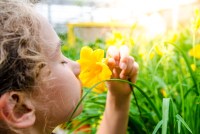 A child smells a flower