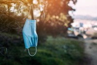 A surgical mask hangs from a low tree branch at sunset.