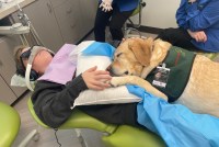 Levi McAllister lies in a dental chair with a dog sitting on his lap.