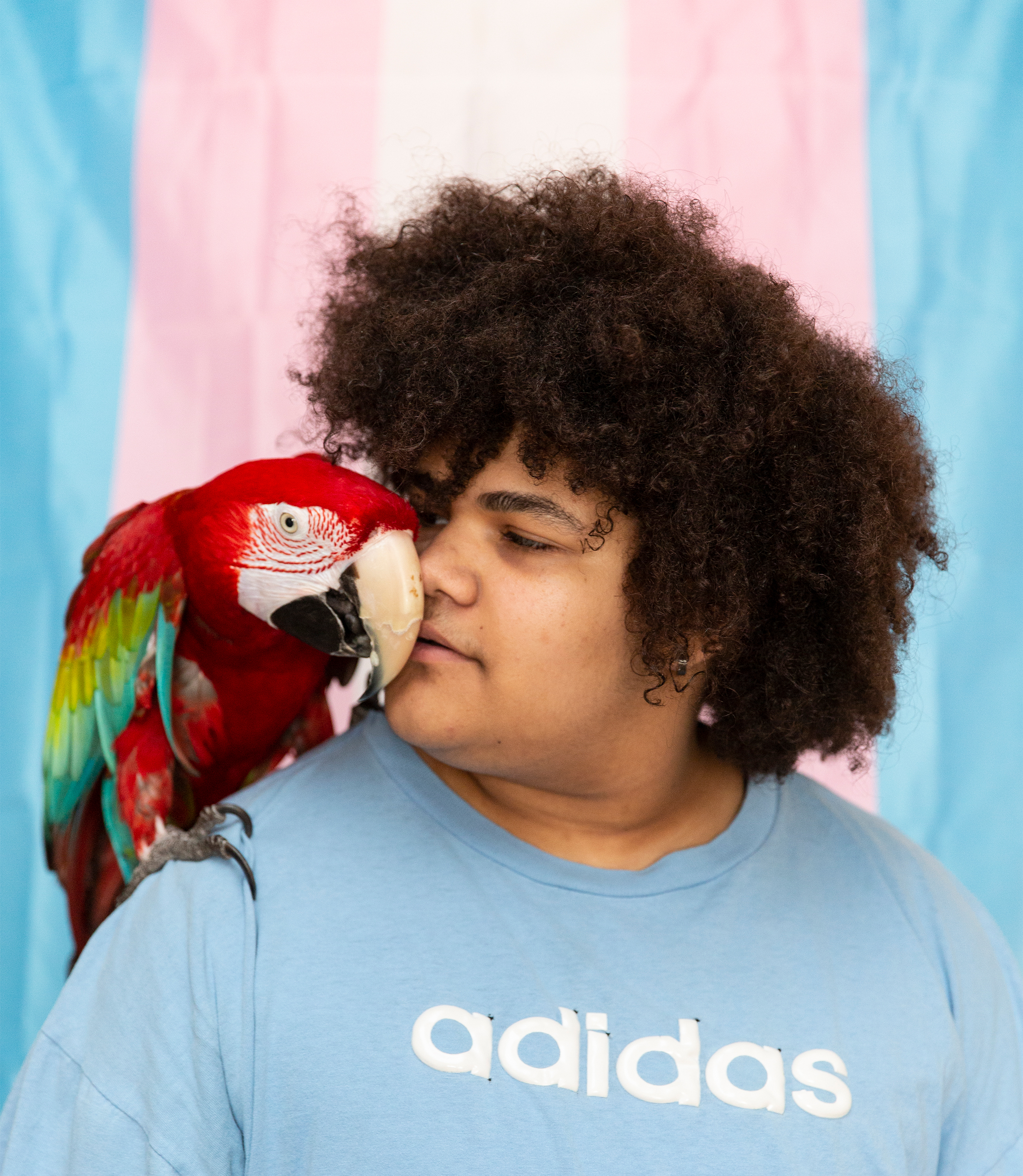 A photo shows Cameron Wright standing with his parrot, Mango, resting on his shoulder. A transgender pride flag fills the background behind him.