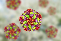 A 3D graphic shows models of the polio virus against a pale background.