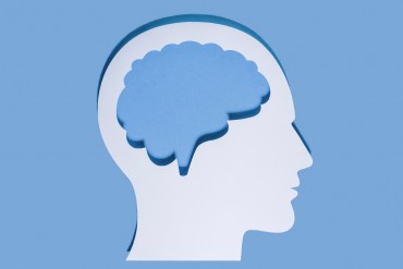 An illustration shows the outline of a human head with a brain inside it.