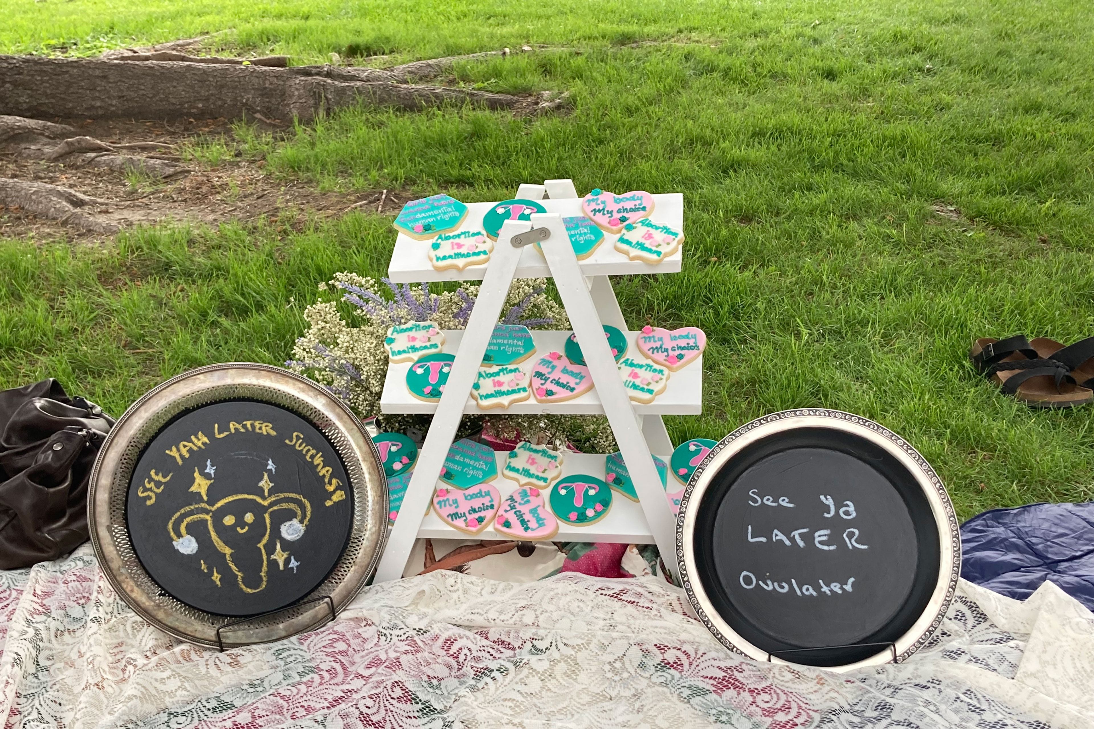 A photo shows a picnic setup with cookies frosted with abortion-rights slogans and signs that read, "See ya later, ovulator," and "See ya later, suckas," with a drawing of a uterus.