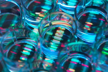A photo shows petri dishes arranged in a row over scans of DNA and RNA.
