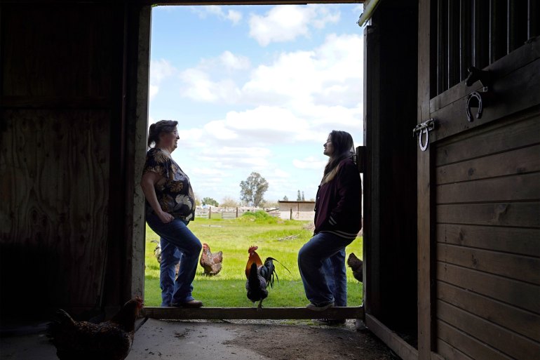 In a view from the dark interior of a barn looking out, a teenager and her mother stand on either side of the barn door looking at each other. It is sunny with fluffy white clouds in the sky and at least five chickens roam.