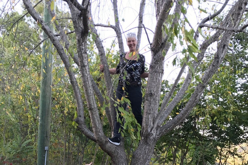 A woman in a black and white top with dark trousers and sneakers stands on the branches of a tree.
