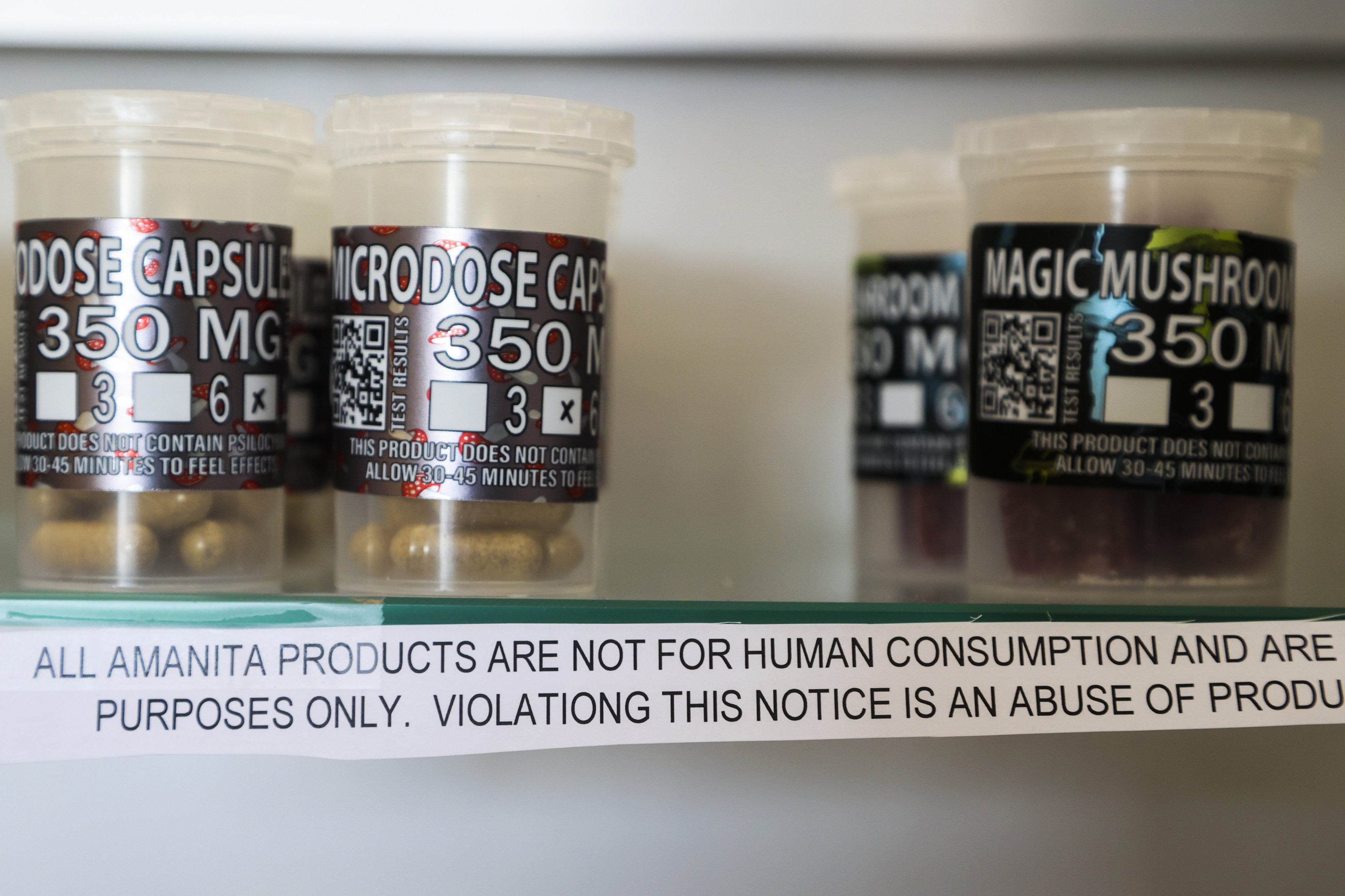 Clear pill bottles are lined up on a glass shelf. Their label, which is black with iridescent lettering, reads, "magic mushroom micro-dose capsules."