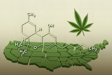 An illustration shows a map of the United States separated into puzzle pieces with the chemical structure diagram of THC and a marijuana leaf superimposed on top of it.
