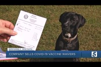 A screenshot of a TV broadcast shows a hand holding up a waiver in front of a dog. Text on the screen reads, "Company sells covid-19 vaccine waivers."