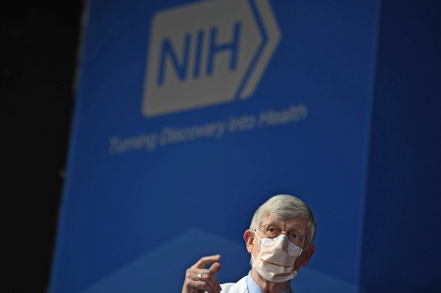 The NIH Ices a Research Project. Is It Self-Censorship? - Vimarsana News