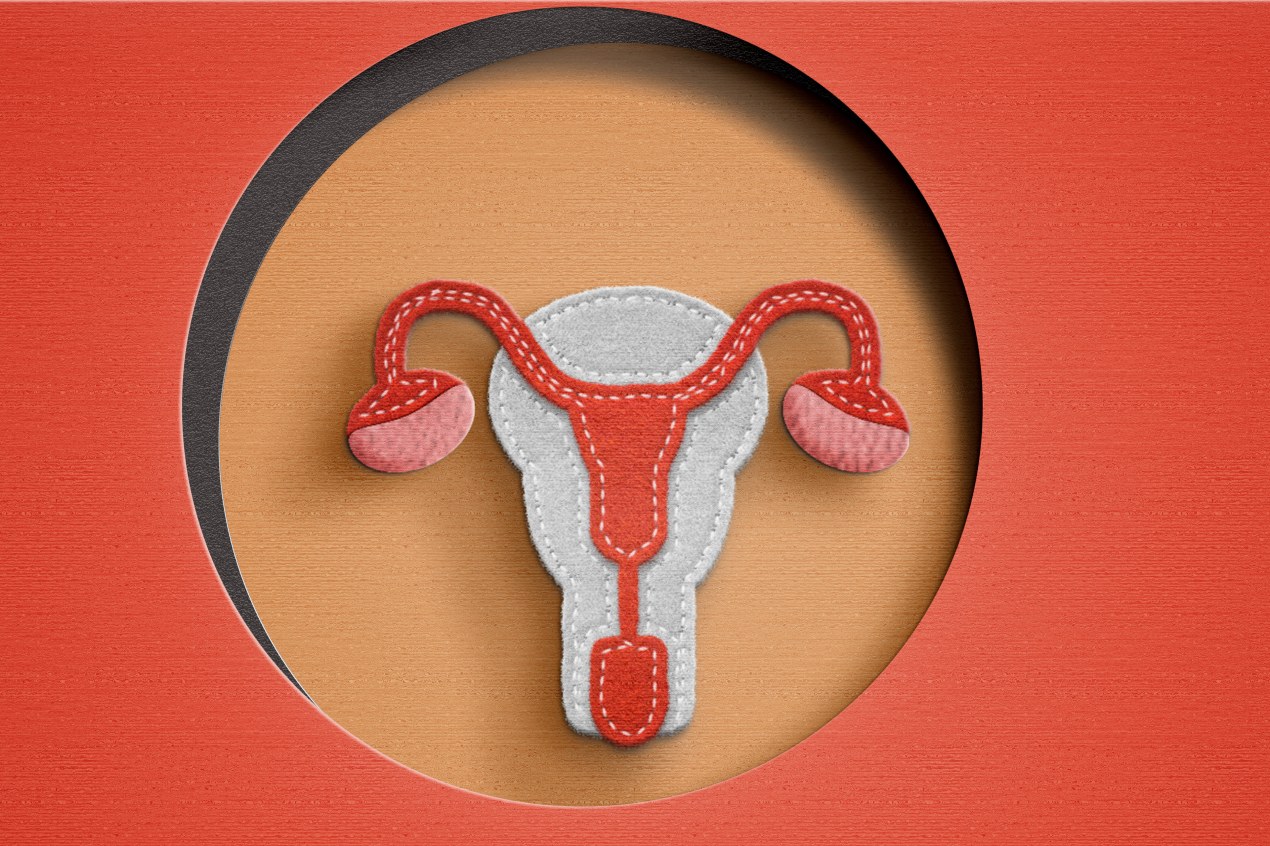 An illustration of the female reproductive system using paper and felt.