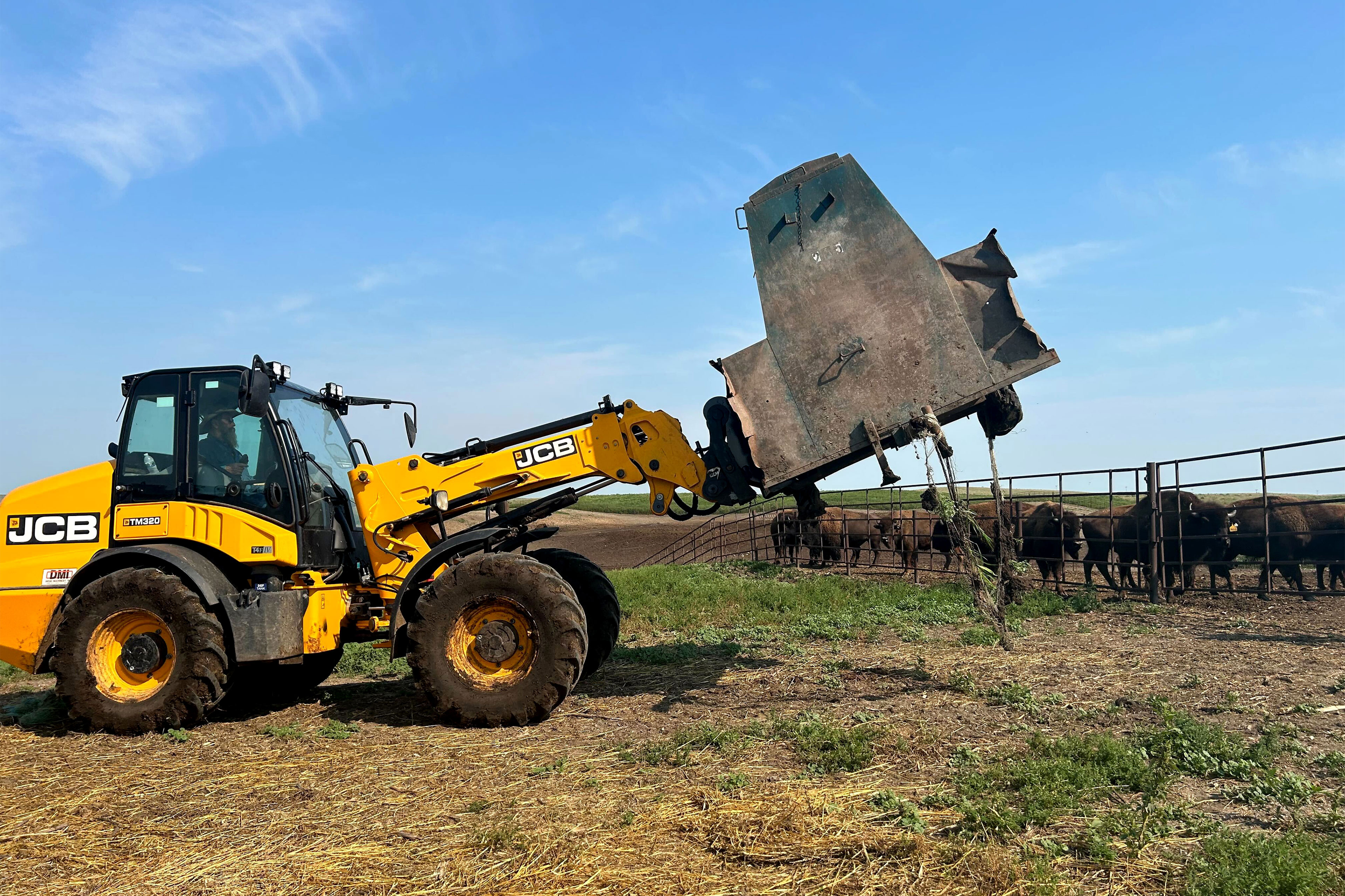 A man drives a front-end loader across a field. Bison are behind a fence in the background.