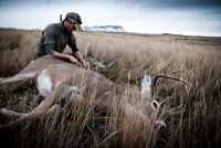 A hunter, wearing a cap, leans over a newly killed buck in a grassland area