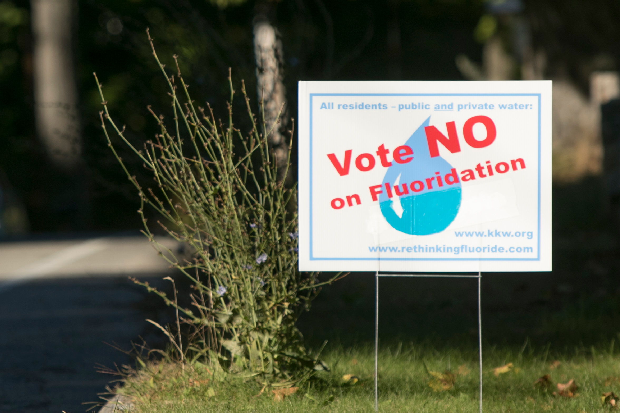 As Bans Spread, Fluoride in Drinking Water Divides Communities Across the US – KFF Health News