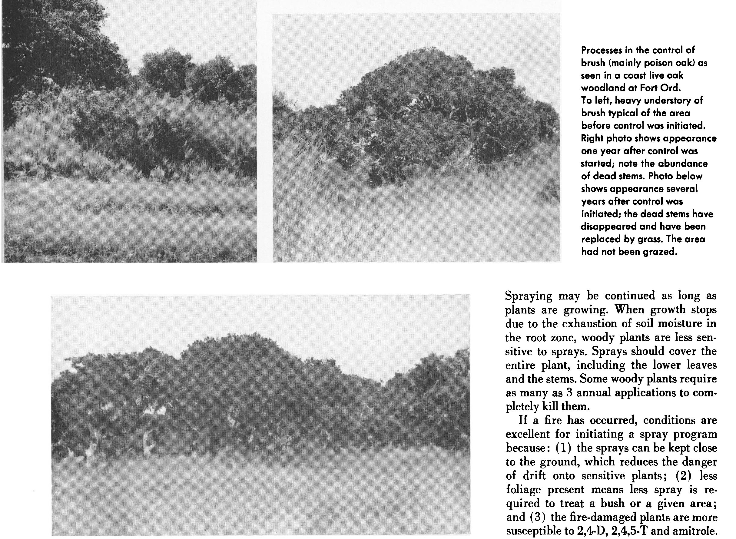 A photo of an academic journal article with three photos, showing chronological shrub control.