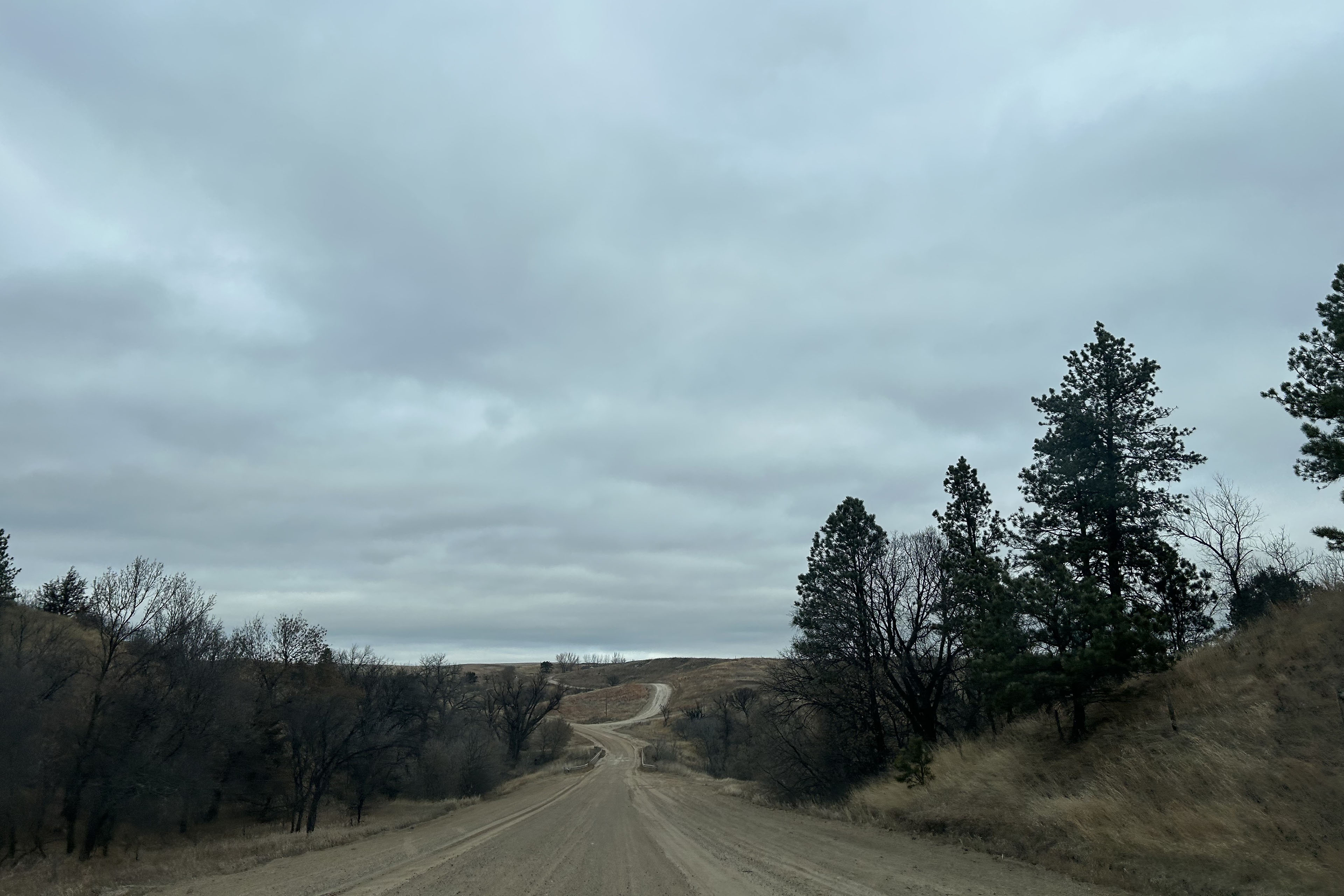 A winding gravel road on the sprawling Pine Ridge Reservation in South Dakota. The sky is overcast and the dirt road is flanked by dry grasses and evergreen trees.