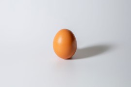 A studio photograph of a brown egg on white background.