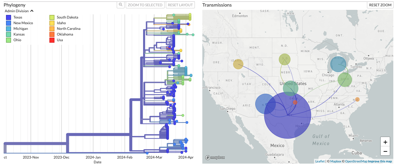 Two data-based images are side-by-side. The image on the left shows the genetic sequencing of the current H5N1 bird flu. The image on the left is a map that shows the spread of the disease out of Texas, to other states: Idaho, New Mexico, South Dakota, Kansas, Oklahoma, Michigan, Ohio, and North Carolina.