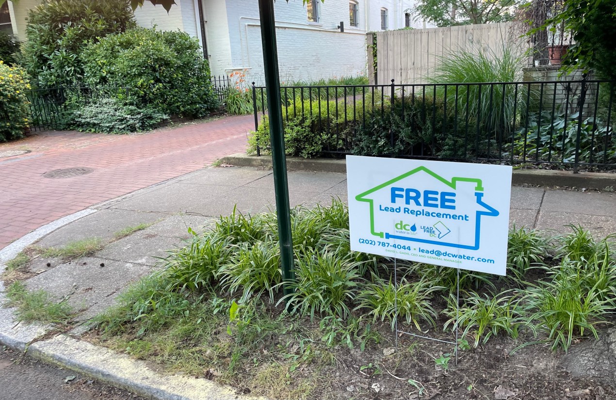 A sign on a lawn reads 'Free Lead Replacement'
