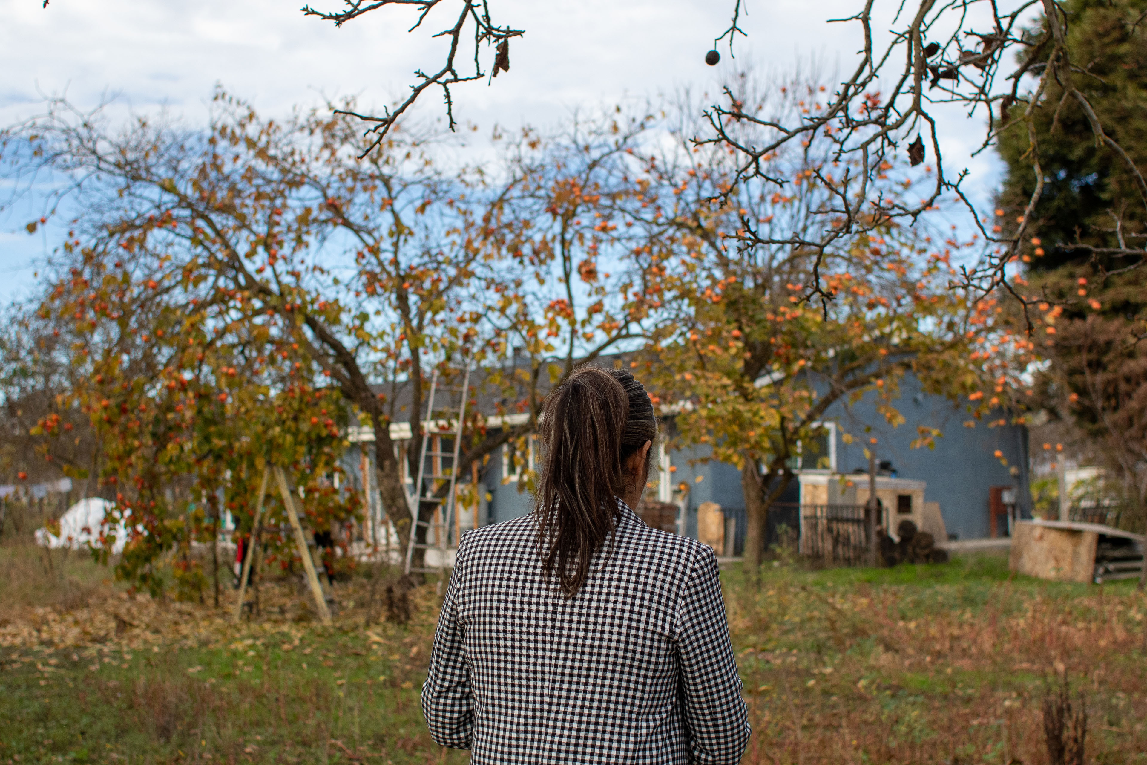 A photo of the back side of a woman with long salt-and-pepper hair pulled back in a ponytail. Persimmon trees and farmland are visible in the background.