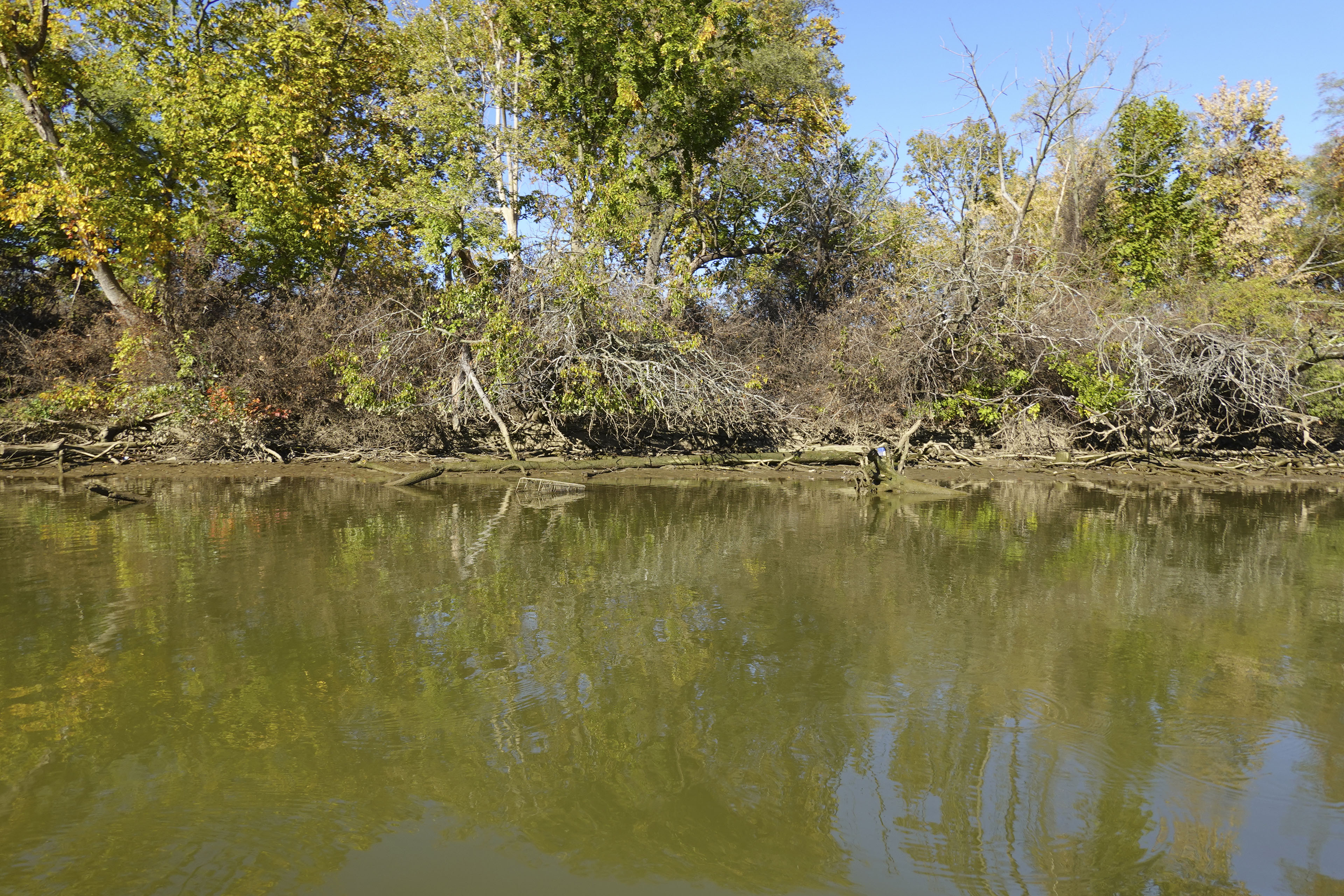 An environmental photo showing a riverside. The water is a rich green, mirroring the trees and shrubbery along the shore. It is a bright sunny day with a blue sky above.