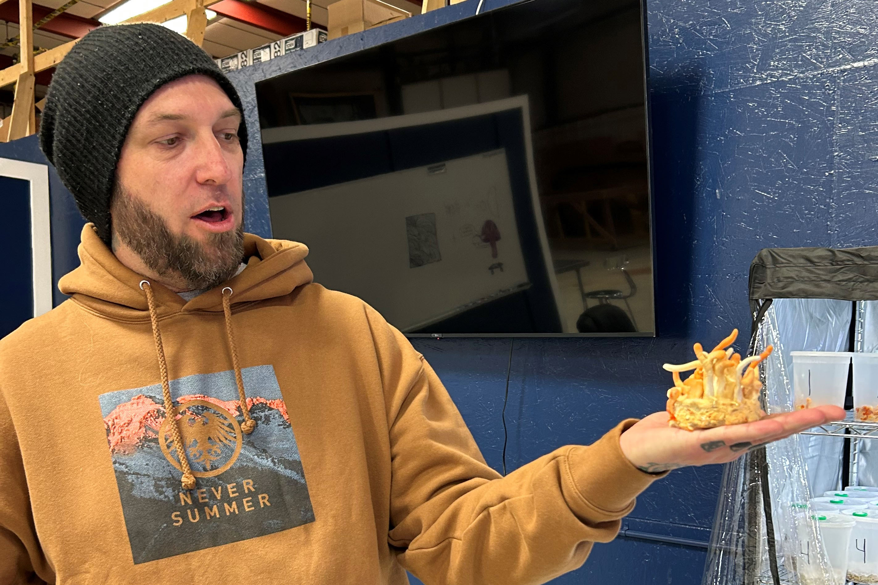 A man in a yellow sweatshirt and black beanie-type hat holds a cluster of mushrooms in his palm.