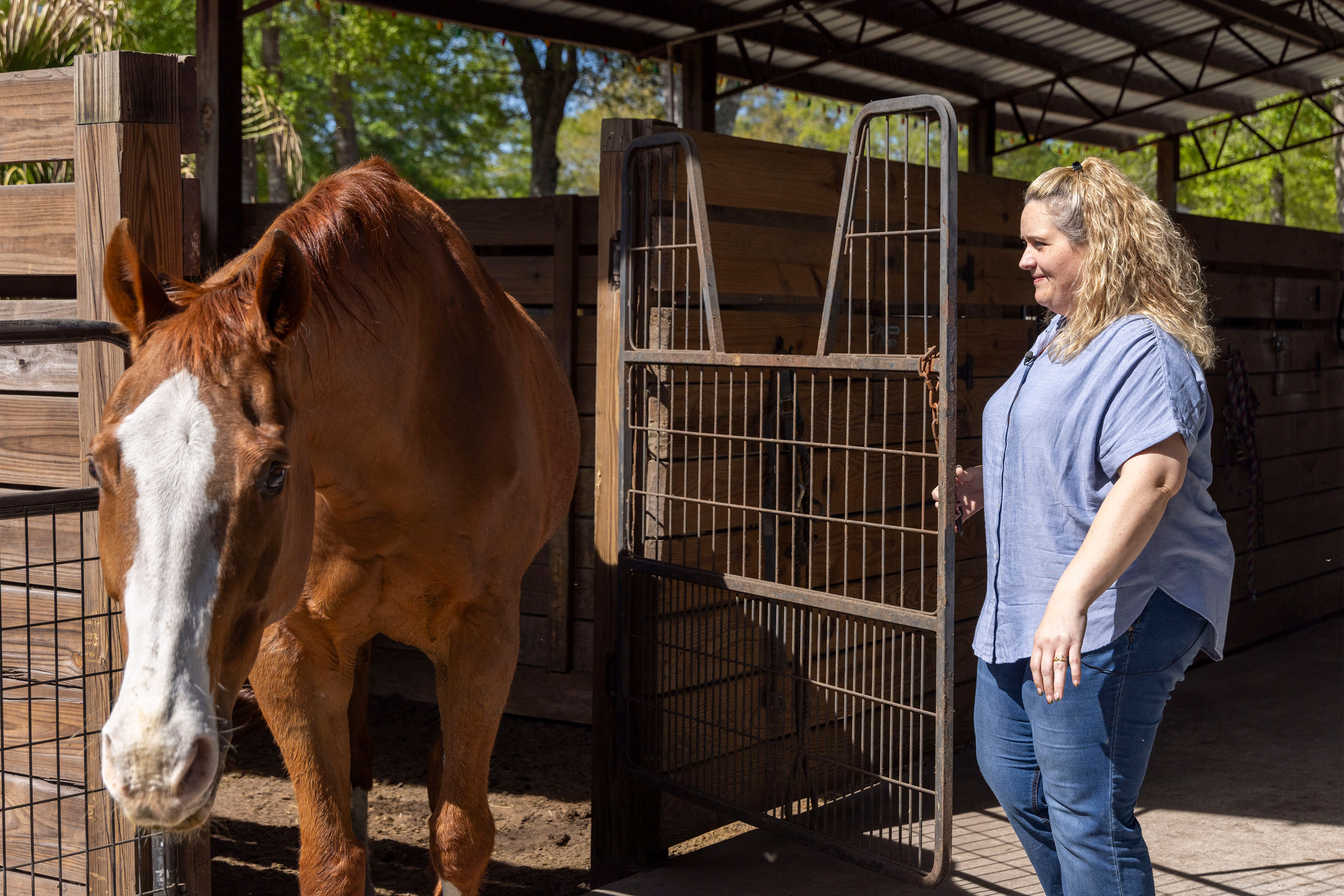 Una donna bionda con una maglietta azzurra a maniche corte e jeans apre la porta di un box per far uscire un cavallo marrone.