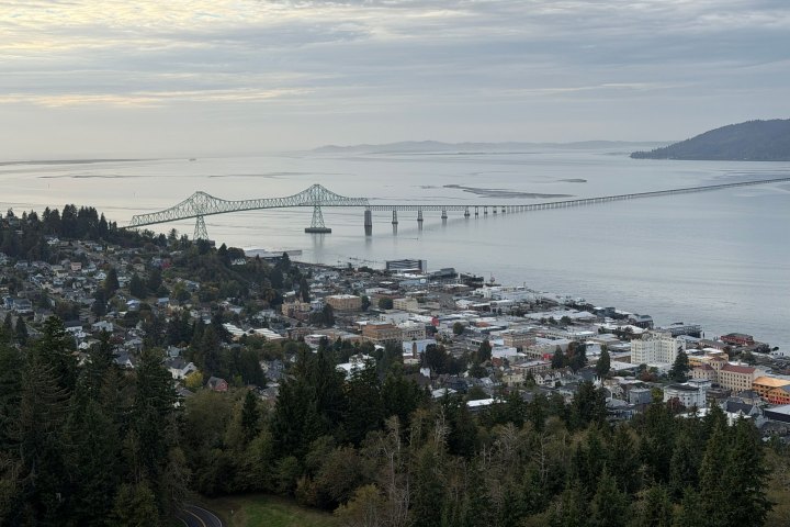The view from a nearby hill of a city at the edge of a river and a bridge spanning that river.