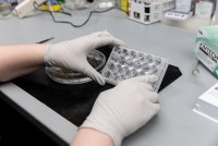 Two gloved hands hold a sample tray in a lab.