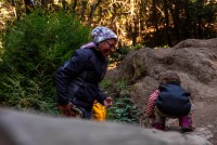 A senior woman in active outdoor clothing encourages a toddler to navigate uneven ground in a lush forest environment.