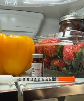 A syringe rests on the top shelf of a fridge.
