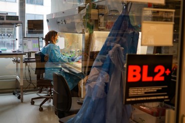 A woman in a lab gear works at a lab station surrounded by equipment. She is seen behind a glass door. A label on the glass reads "BL2+"