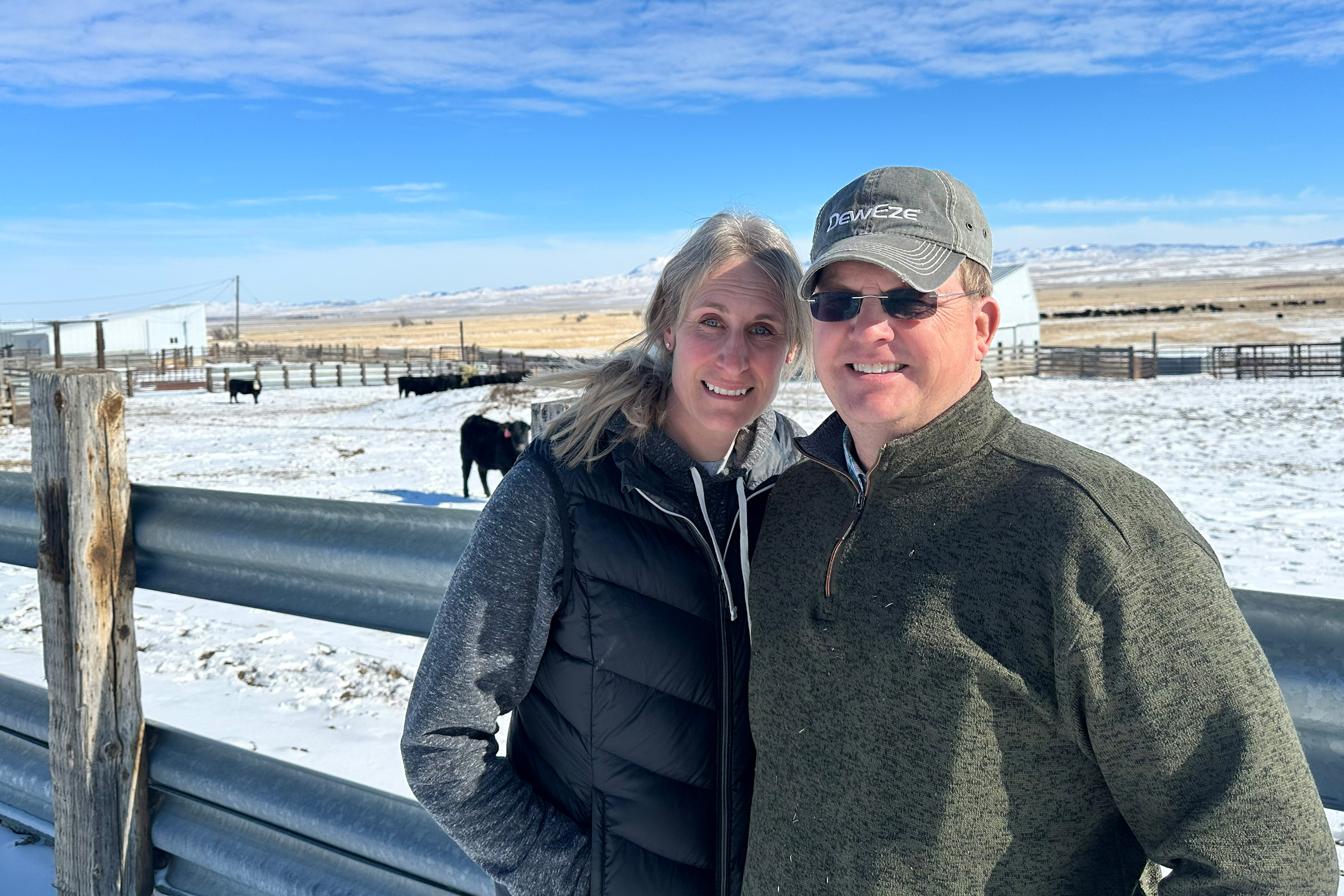A photo of a man and woman leaning by a fence behind it is a field covered in snow. A few black cows are seen behind the fence.