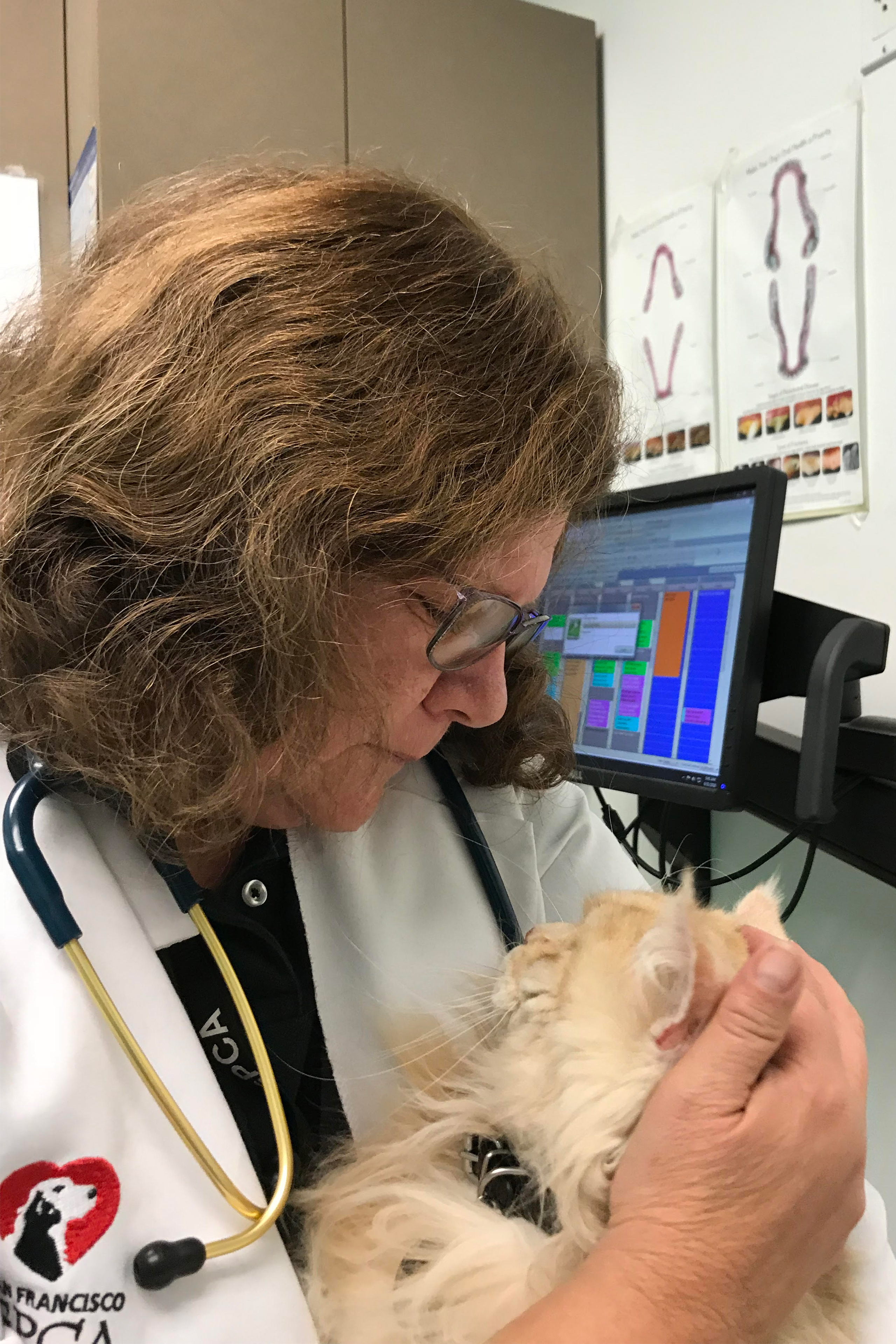 Kathy Gervais is seen wearing a lab coat and a stethoscope around her neck. She is holding a cat in her arms.