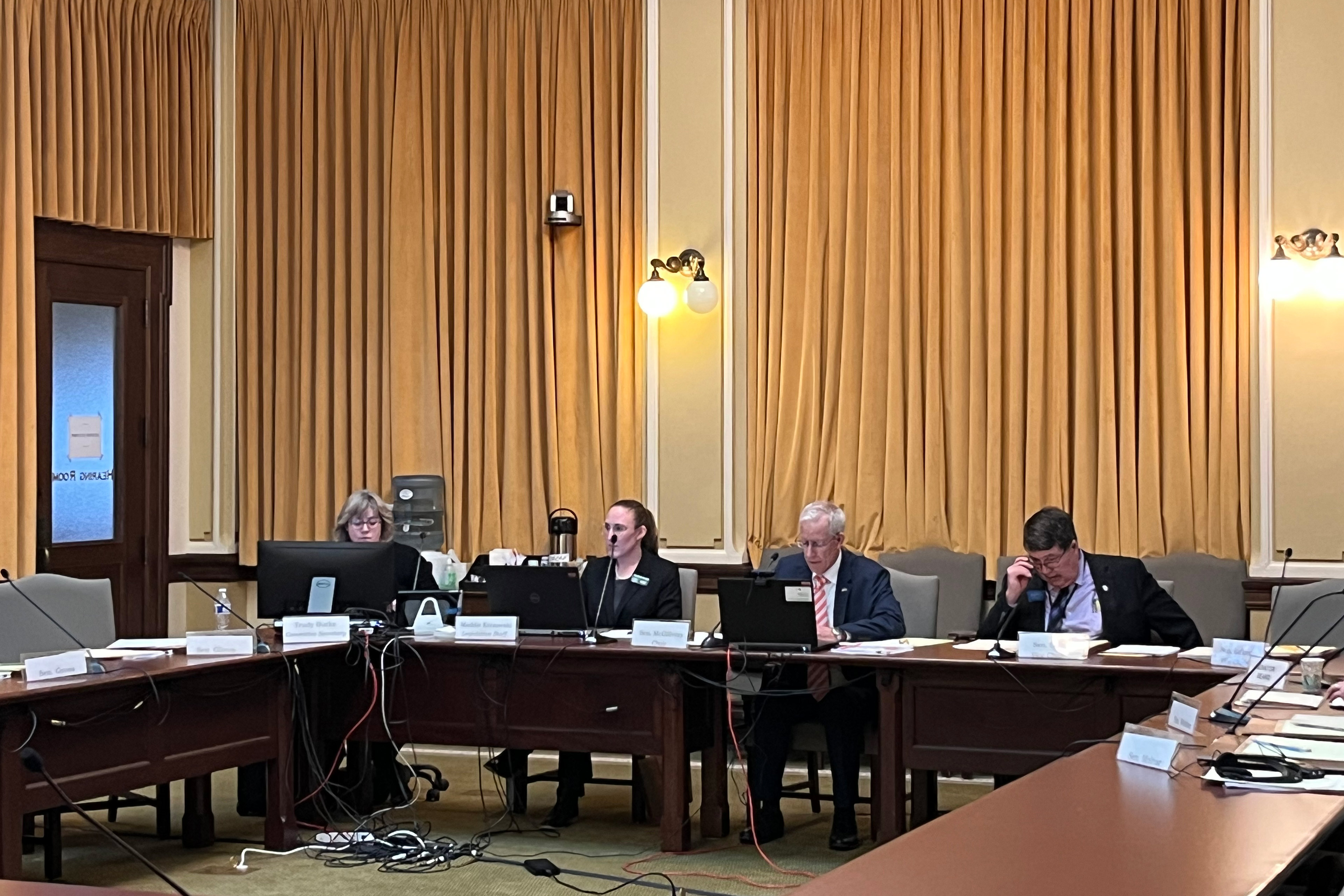 A photo shows a Montana Senate committee meeting.
