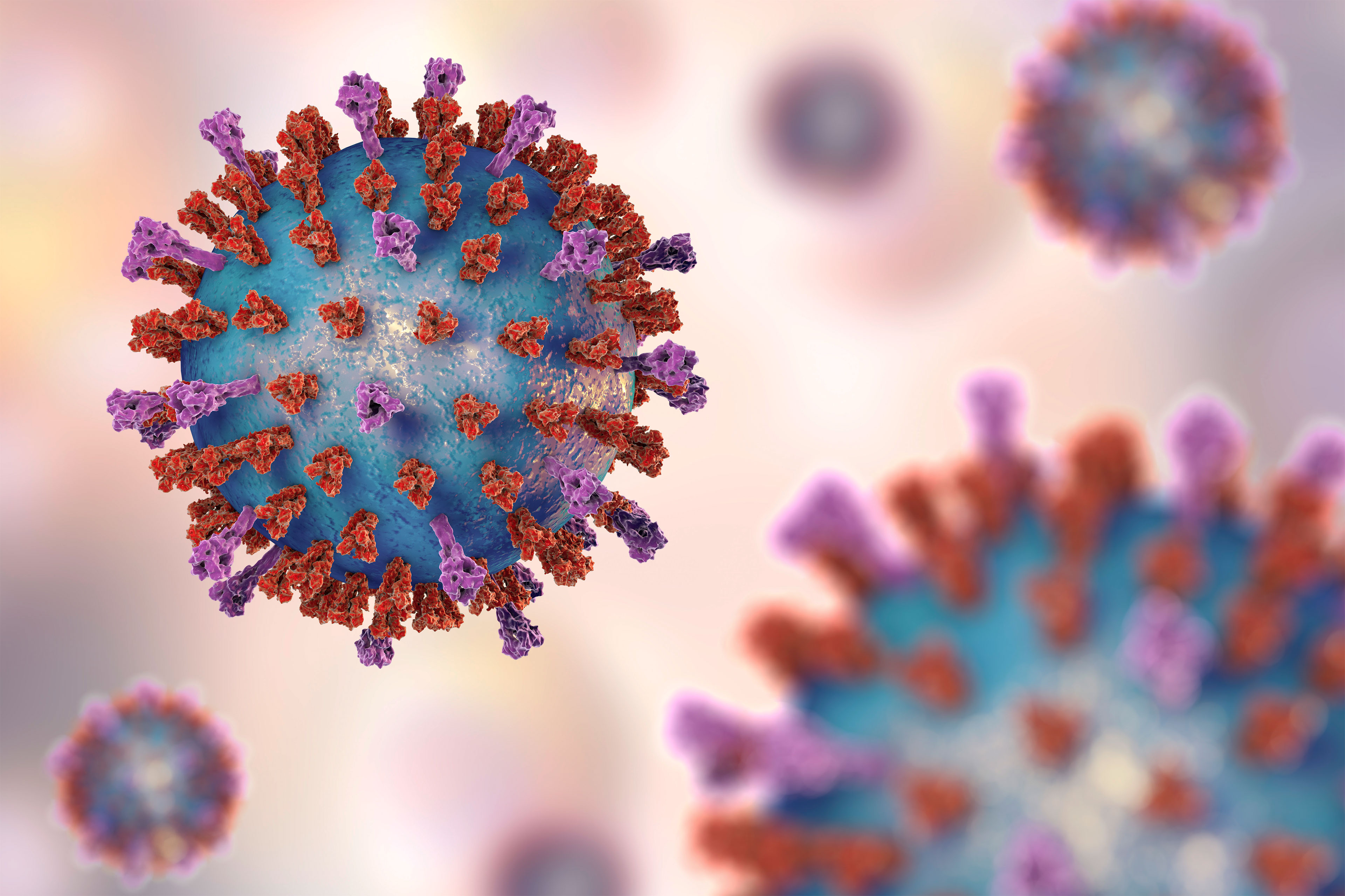 An illustration shows 3D models of the RSV virus.