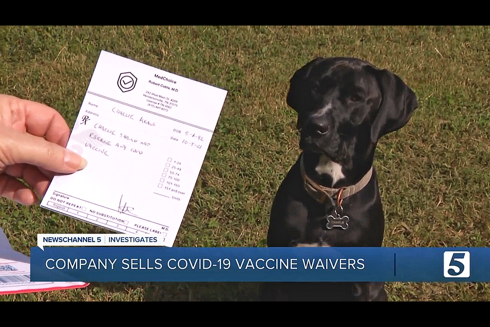 A screenshot of a TV broadcast shows a hand holding up a waiver in front of a dog. Text on the screen reads, "Company sells covid-19 vaccine waivers."