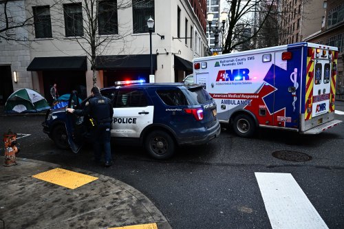 A police car and a ambulance are shown at an intersection of two city streets.