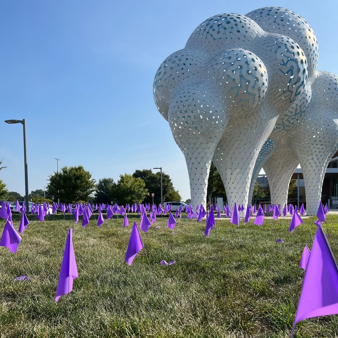 A photo of a field of grass with tons of small purple flags planted in the ground.