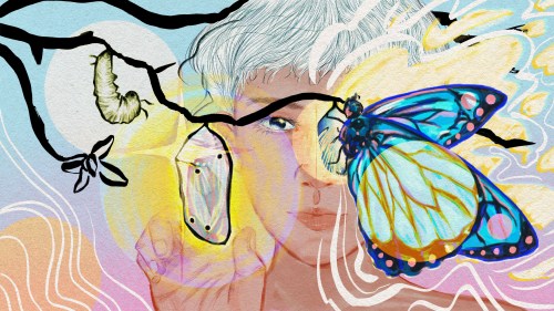 An illustration drawn with pencil and gently colored digitally shows a child with white hair reaching out to touch their finger to a butterfly cocoon that is hanging from a branch in front of them. On their left, there is a caterpillar that has yet to undergo metamorphosis. On the right of the cocoon, and covering half of the child's face, a butterfly emerges in the colors of the transgender flag.