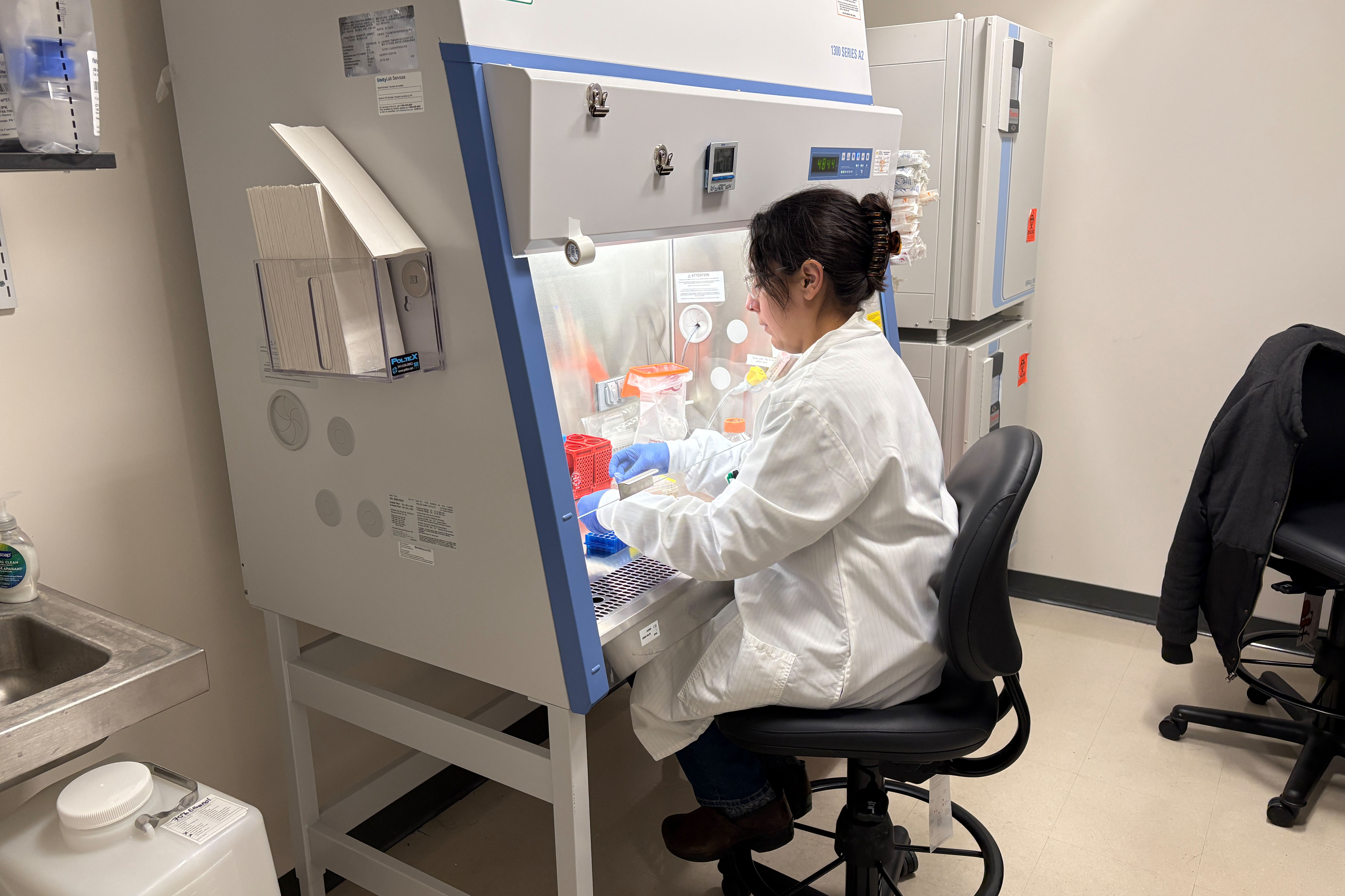 A photo of Adelaide Tovar working in a lab under a fume hood.