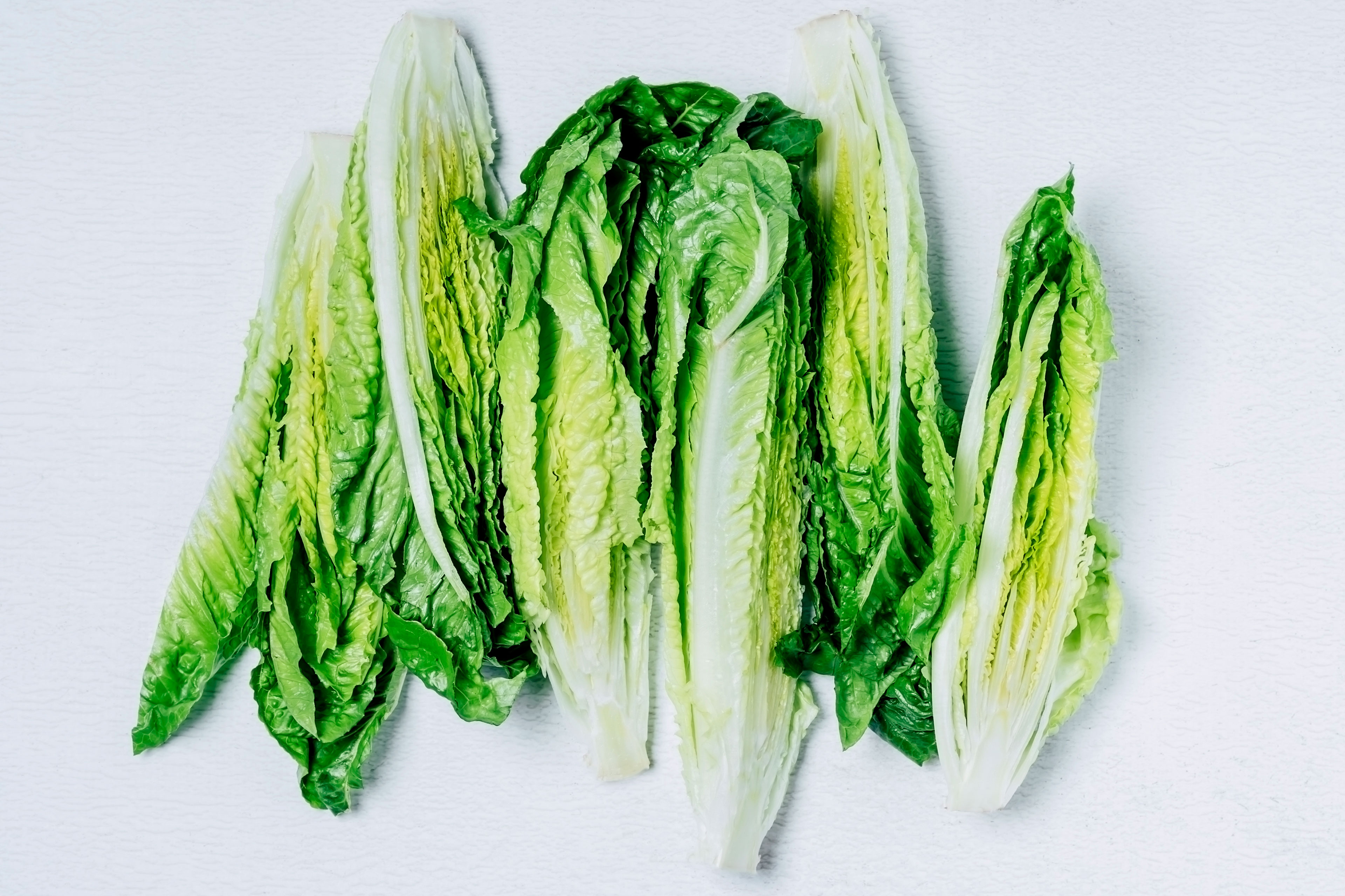 Several hearts of romaine lettuce on white background.
