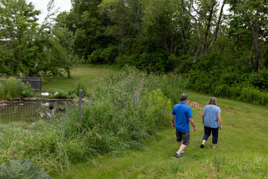 A husband and wife walk down a grassy area of their large outdoor property. On the left is a duck pond.