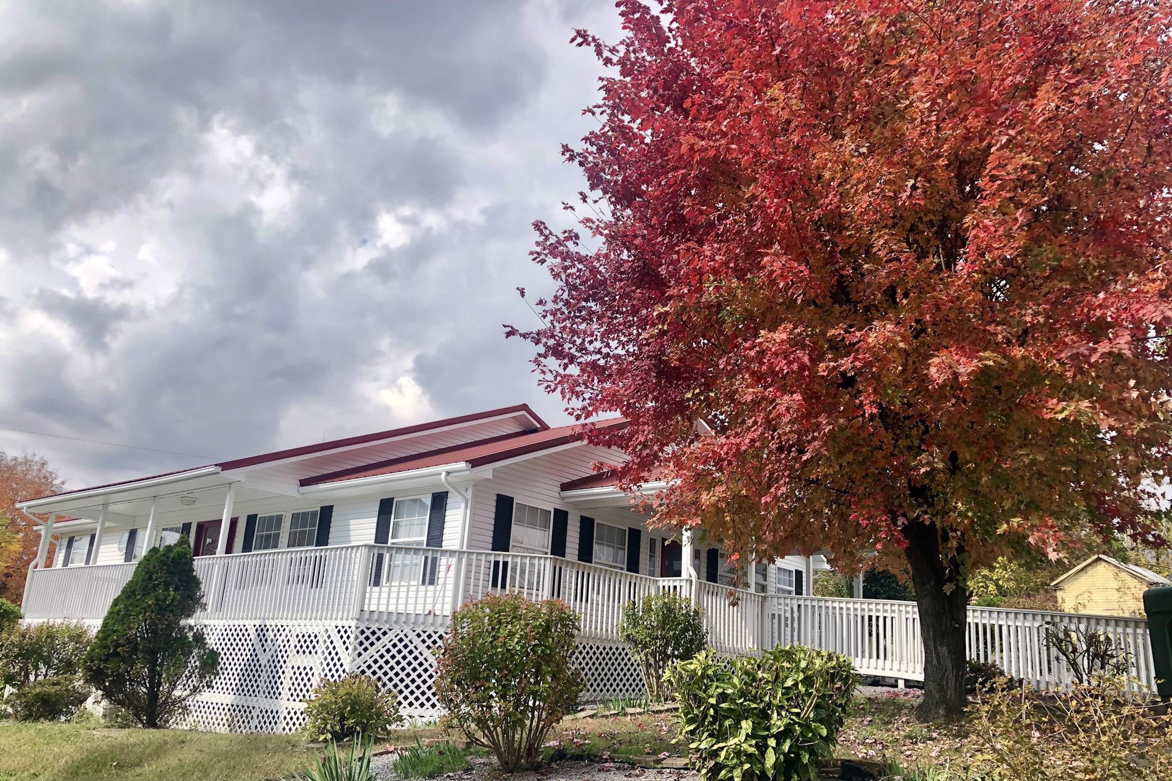 A white house with a large tree in the front with red and orange leaves
