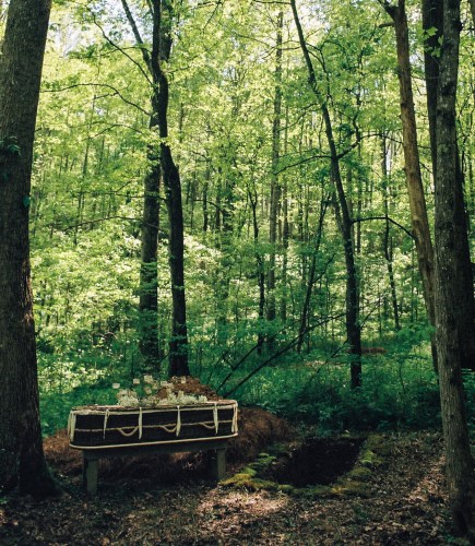 A coffin is placed in a forest surrounded by trees