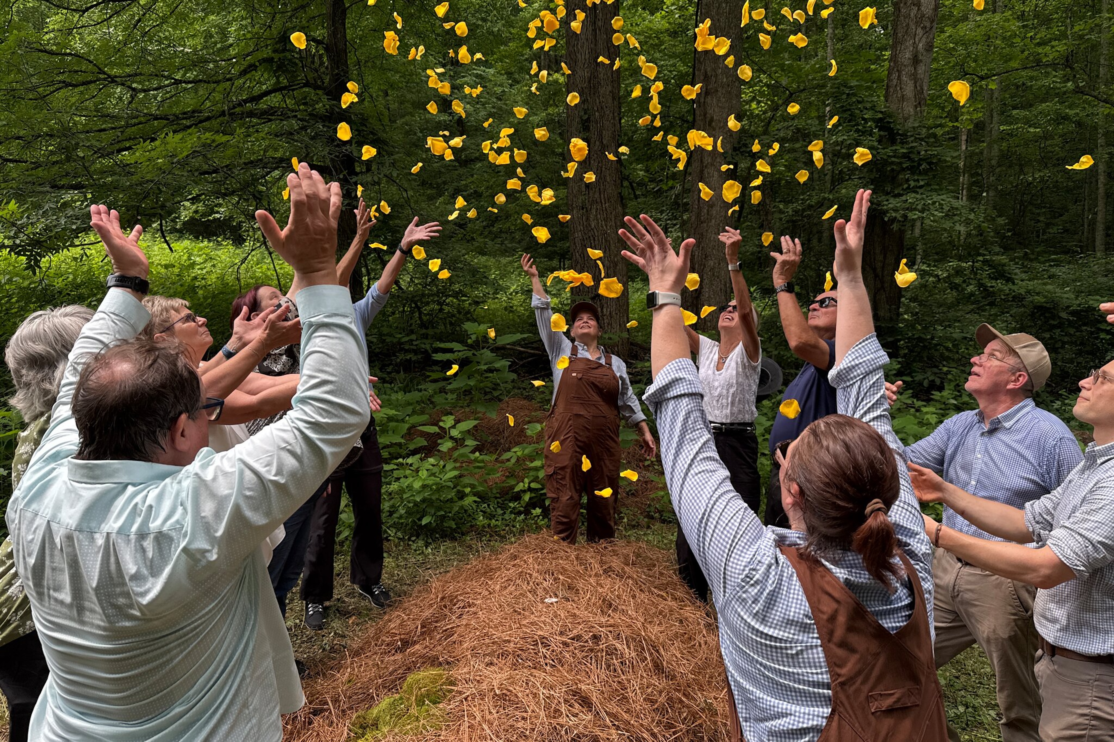 Several people stand around a pile of straw and dirt in a forest, a green burial, and throw yellow petals into the air